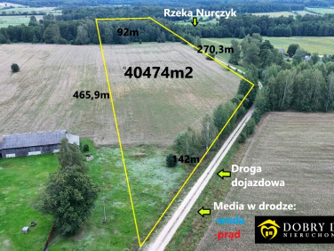 Działka rolna Pokaniewo-Kolonia sprzedam