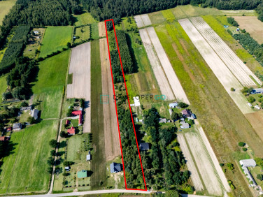 Działka siedliskowa Trzcianki