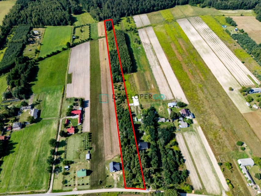Działka siedliskowa Trzcianki