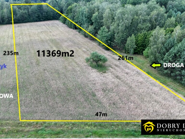 Działka rolna Pokaniewo-Kolonia sprzedam