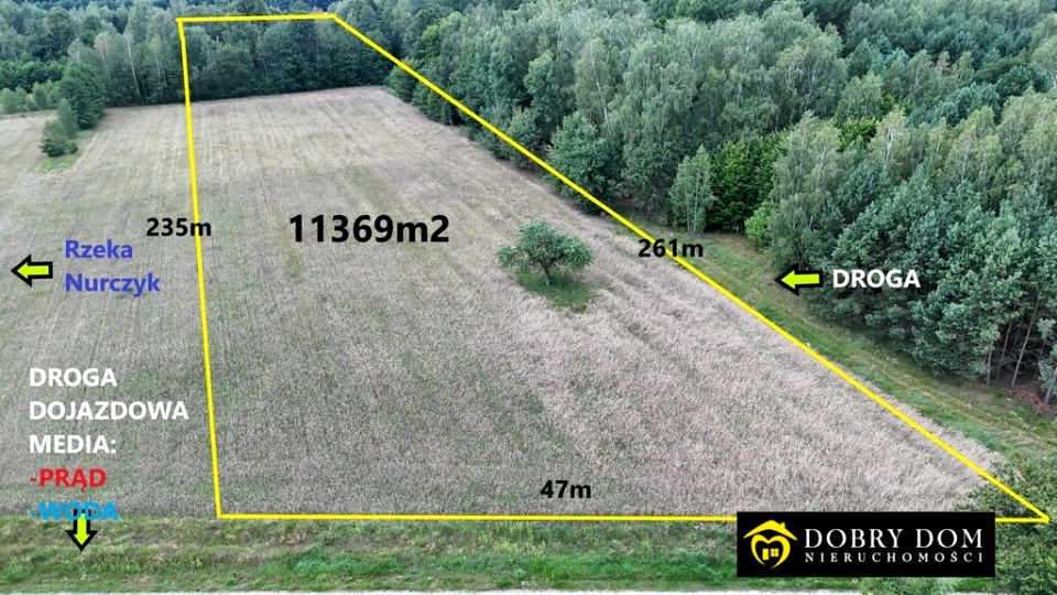 Działka rolna Pokaniewo-Kolonia sprzedam