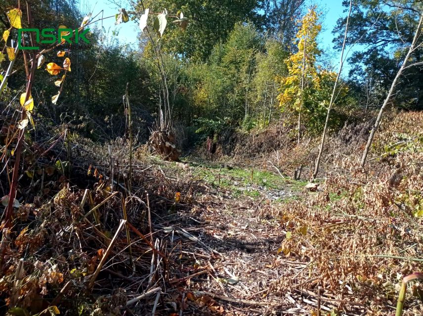 Działka budowlana Sosnowiec sprzedam