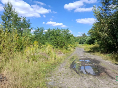 Działka Sosnowiec