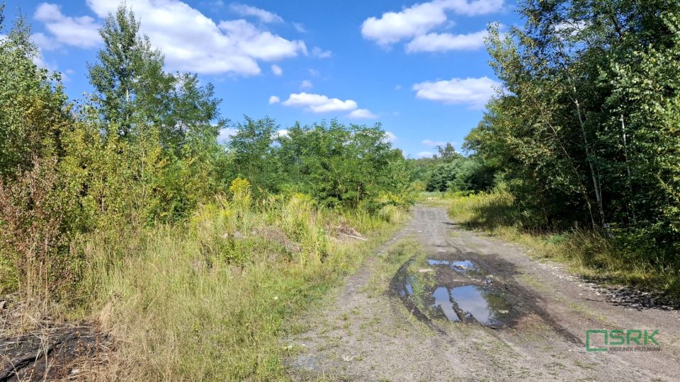 Działka Sosnowiec