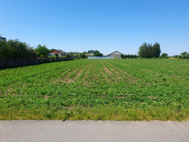 Działka budowlano-rolna Ostrowiec
