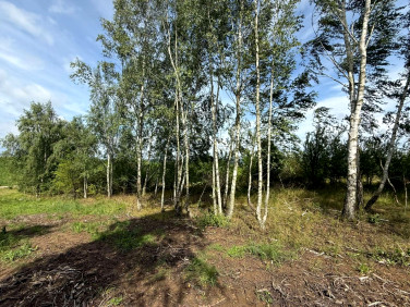 Działka Gdańsk