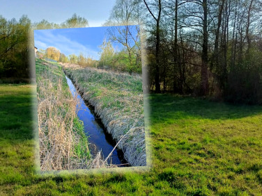 Działka Halinów