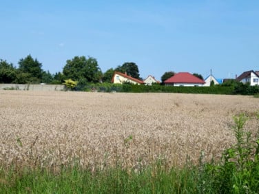 Działka budowlana Smardzów