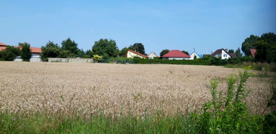 Działka budowlana Smardzów