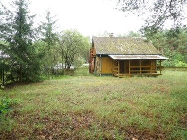 Dom Zbójna