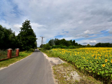 Działka budowlana Wierzyce sprzedam