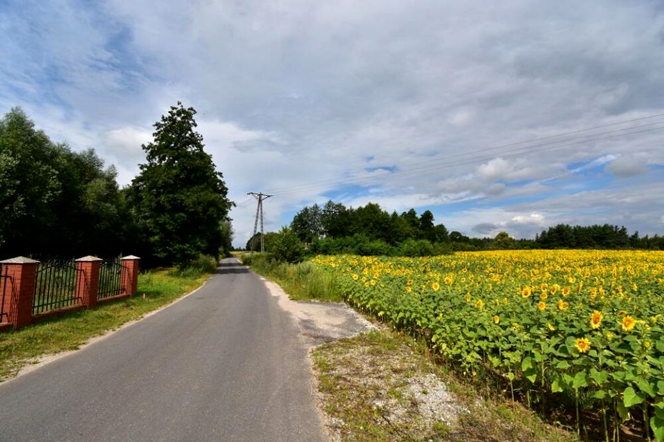 Działka budowlana Wierzyce sprzedam