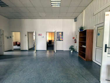 Lokal Płock