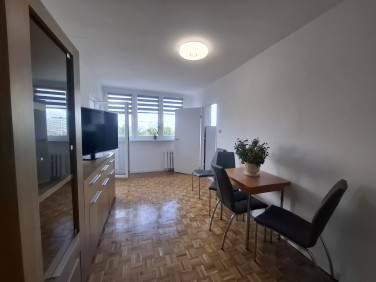 Mieszkanie Legnica sprzedaż