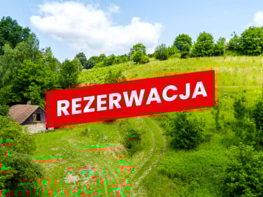 Dom Tuchów