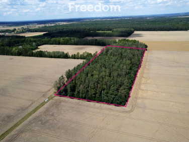Działka leśna Pokinianka