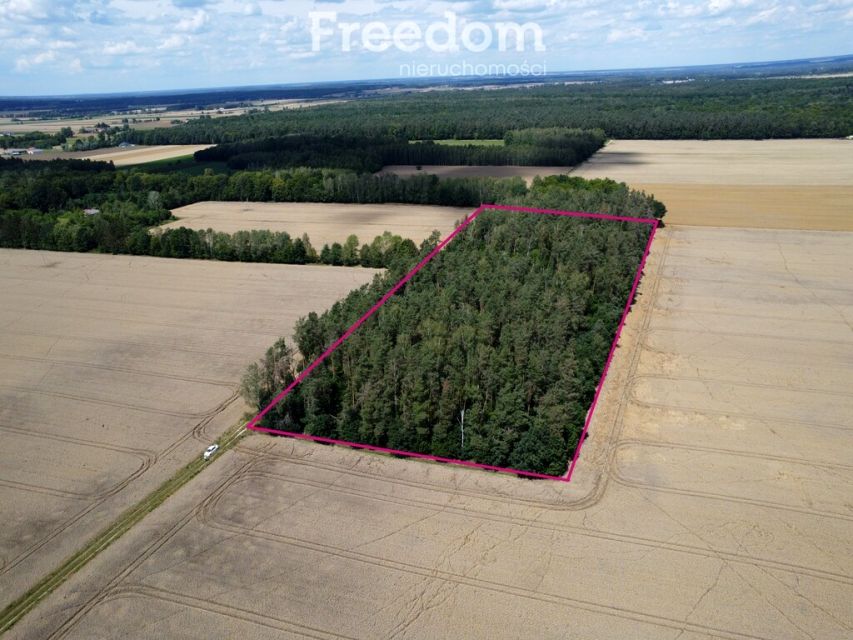 Działka leśna Pokinianka