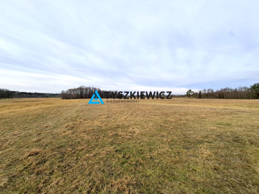 Działka przy lesie