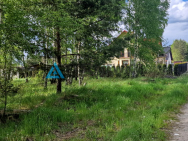 Działka Borcz