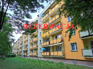 Mieszkanie Radom sprzedaż