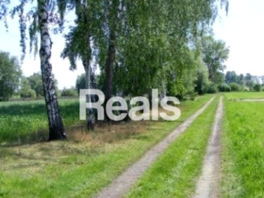 Działka Różanów