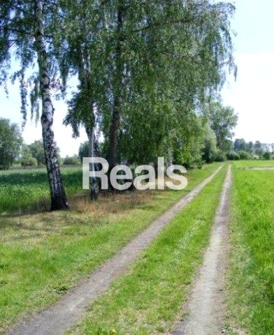 Działka Różanów