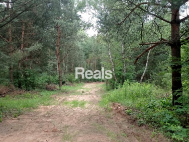 Działka budowlana Pieńki Osuchowskie sprzedam