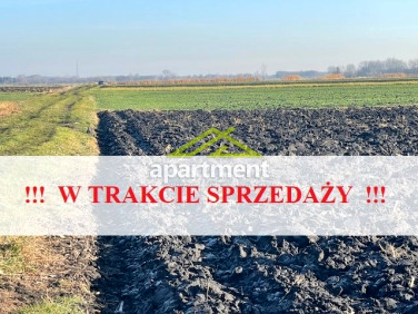 Działka Sępichów