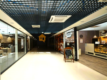 Lokal Legnica