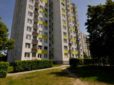 Mieszkanie Zielona Góra