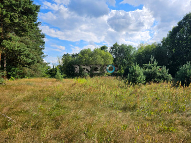 Działka budowlana Lewików