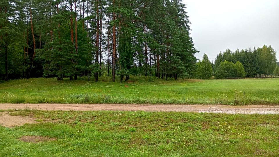 Działka budowlana Walne