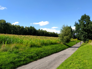 Działka Wodzisław Śląski