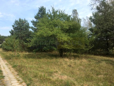 Działka siedliskowa Pieńków
