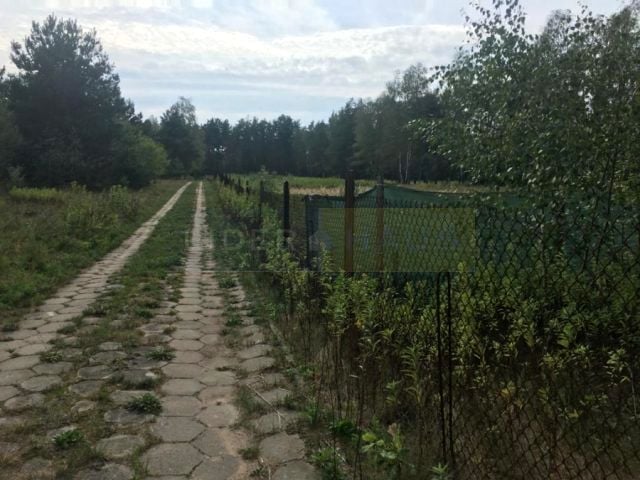 Zdjęcie 2