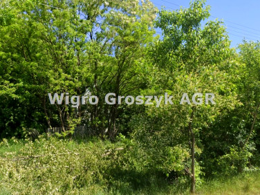 Zabudowana działka Bibiampol