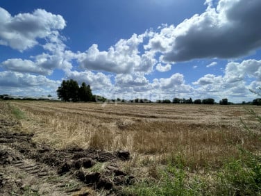 Działka rolna Kalisz