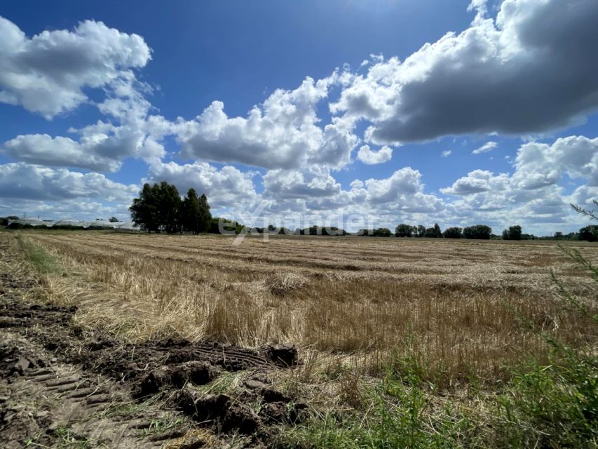 Działka rolna Kalisz