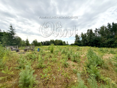 Działka siedliskowa sprzedam