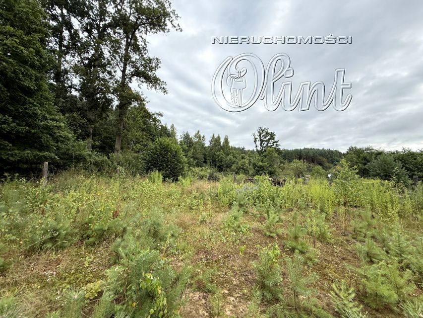 Działka siedliskowa Czarnówko sprzedam