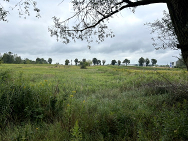 Działka Cząstków Polski