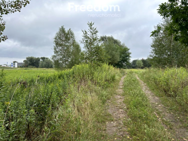 Działka Cząstków Polski