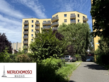 Mieszkanie apartamentowiec wynajem