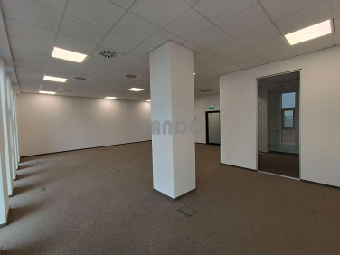 Lokal Bielany Wrocławskie