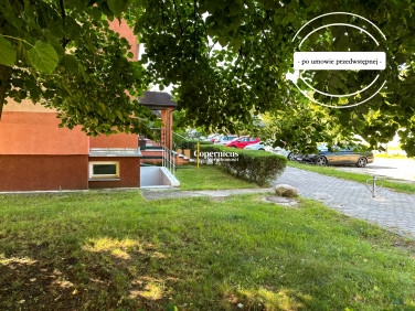Lokal Toruń