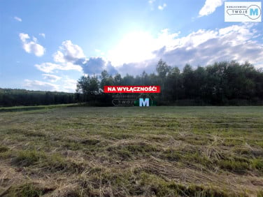 Działka Masłów Drugi