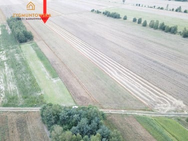 Działka rolna Białaczów