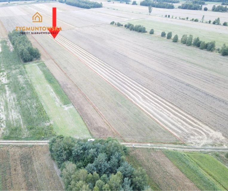 Działka rolna Białaczów