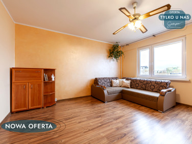 Mieszkanie Bełchatów sprzedaż