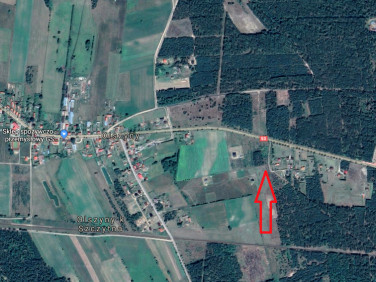 Działka Olszyny